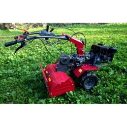MOTOCULTIVADOR CASTOR WM 1000 N-6